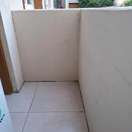 La Figue Beige De * Toulon
